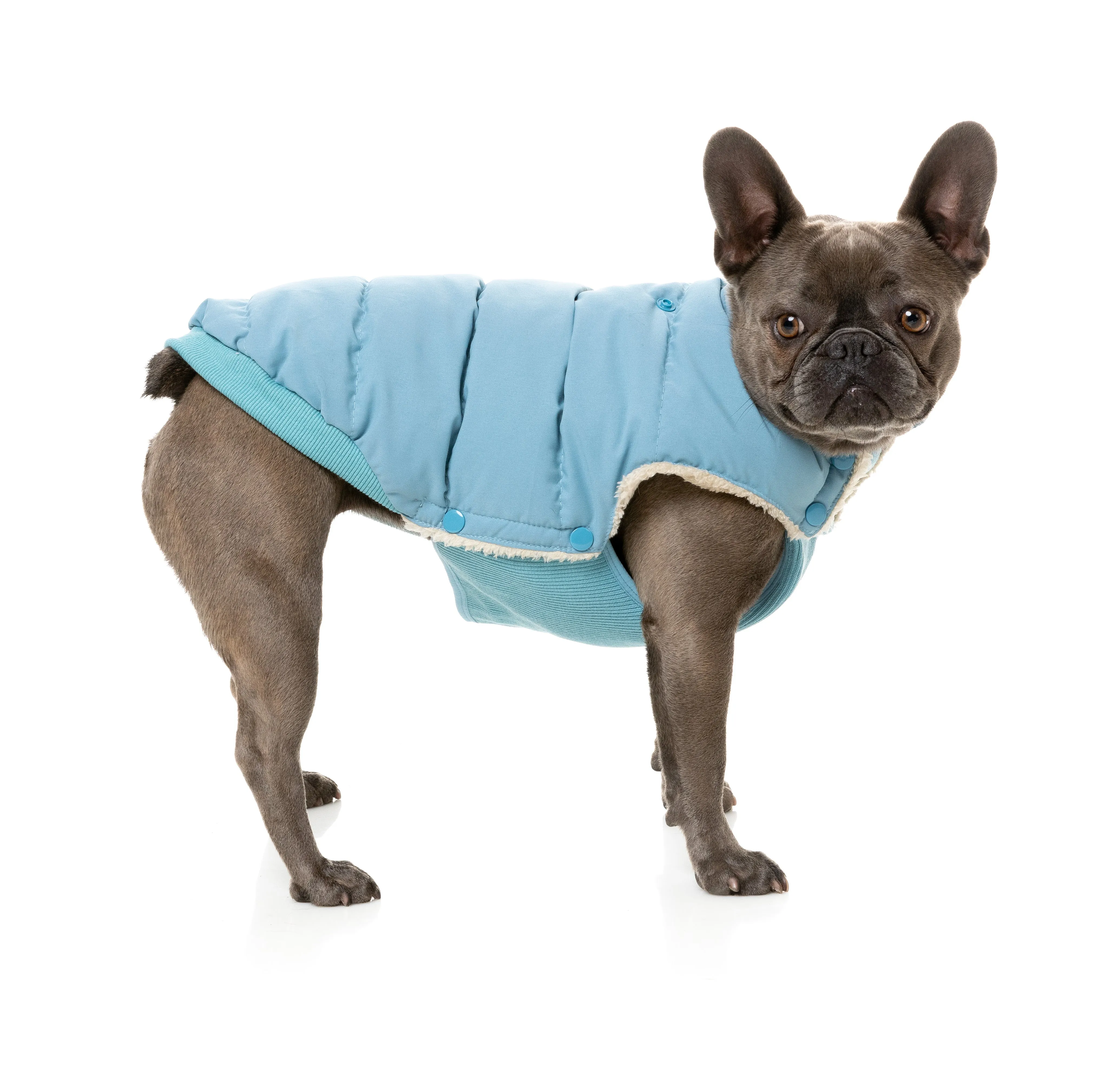 FuzzYard Essential Puffer Dog Jacket Blue