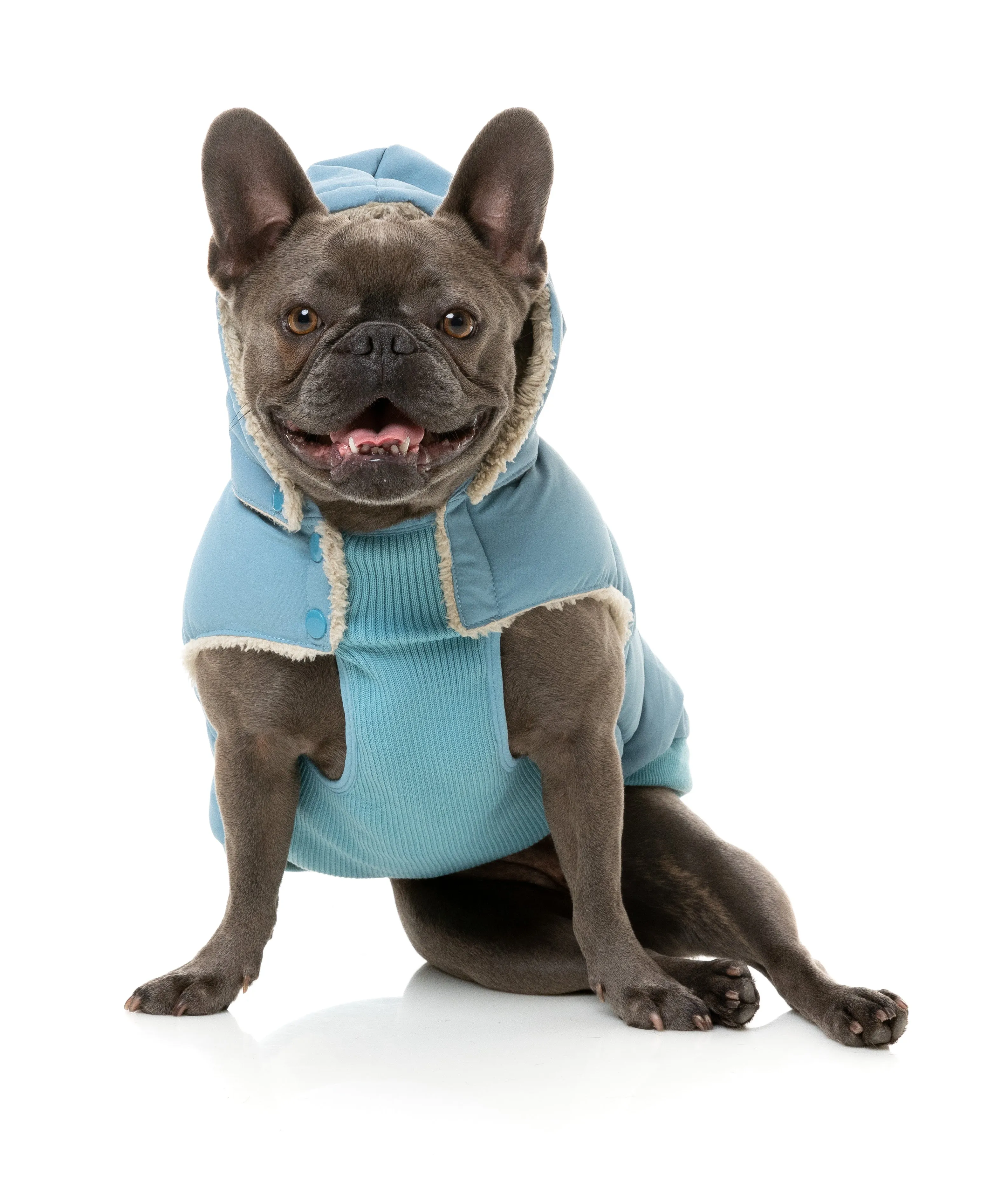 FuzzYard Essential Puffer Dog Jacket Blue