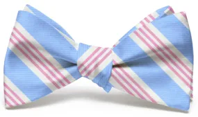 Homestead: Bow Tie - Light Blue/Pink