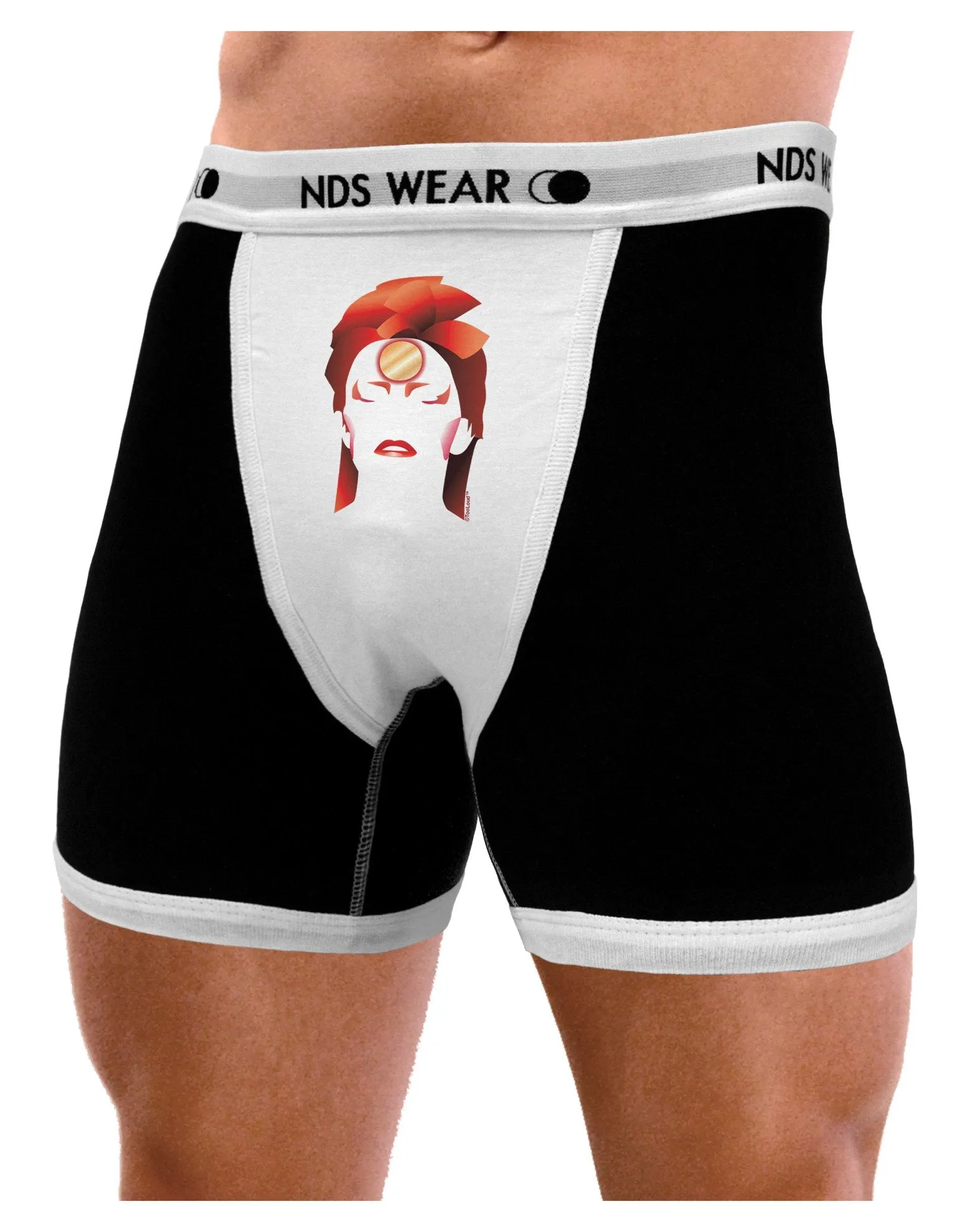 The Zig Mens Boxer Brief Underwear